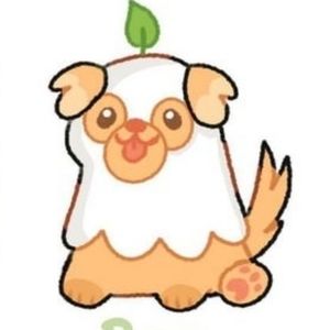 Meet your Posher, Haejin